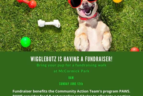 Pets Assisting the Wellbeing of Seniors