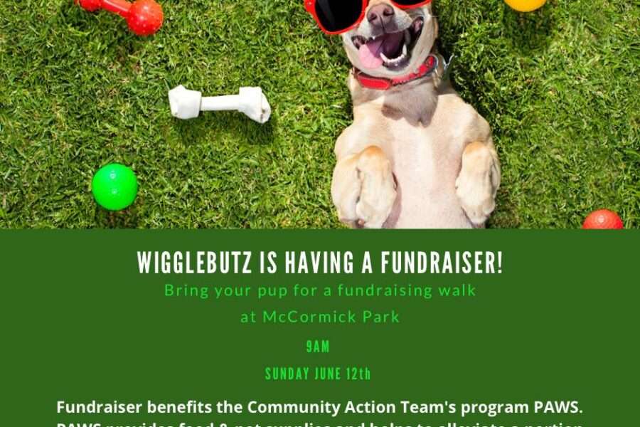 Pets Assisting the Wellbeing of Seniors